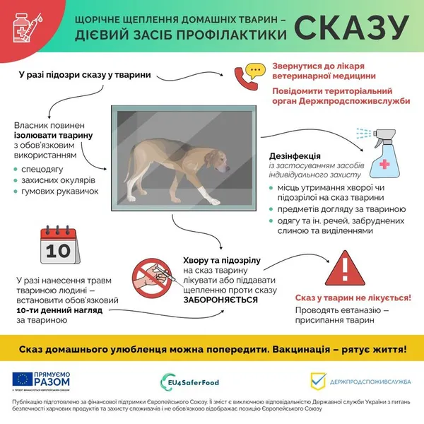 Карантин до 12 серпня: де у Луцьку вдруге за рік зафіксували сказ