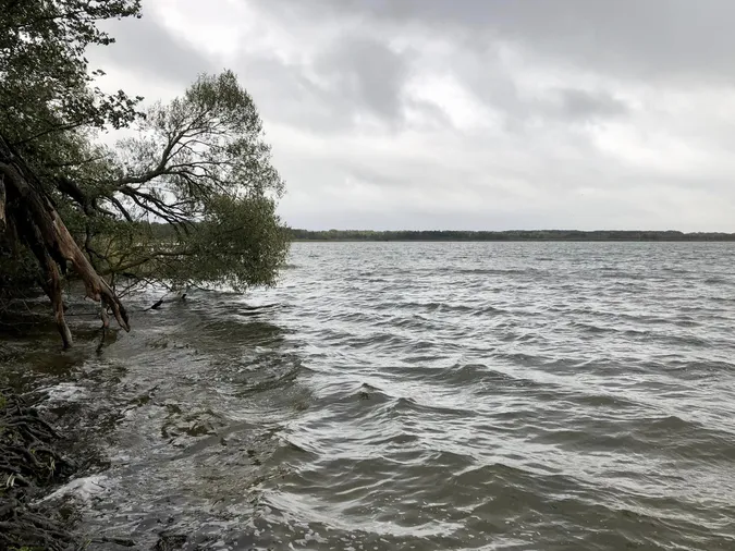 🌊Осінь на повну: в мережі показали краєвиди волинського озера (фото)