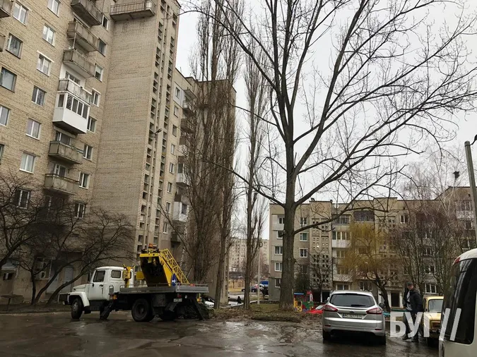 Карма: у Нововолинську суха тополя впала на авто, припарковане у «зеленій» зоні (фото, відео)