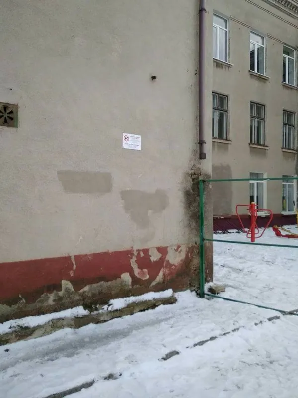На території луцьких шкіл і дитсадків заборонили вигулювати собак (фото) 