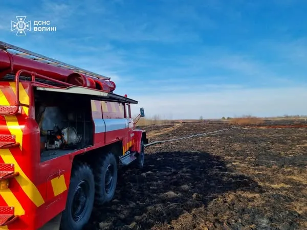 Три пожежі впродовж дня: на Волині горіли торфовища (фото)
