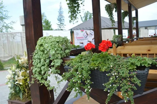 Лісівники відновили базу відпочинку на Світязі (фото)
