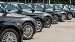 «Німець» до $9000: що можна знайти на Луцькому автобазарі (відео)