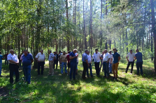 День народження, гроші в піску та оркестр у лісі: на Волині День поля (фото, відео)