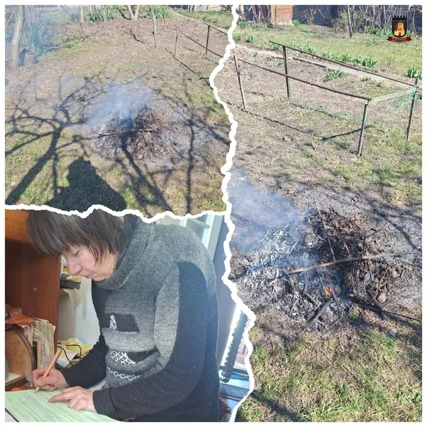 Луцькі муніципали покарали паліїв сухого гілля (фото)