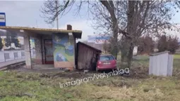 На Волині Ford на «євробляхах» протаранив сарай і дерево (фото, відео)