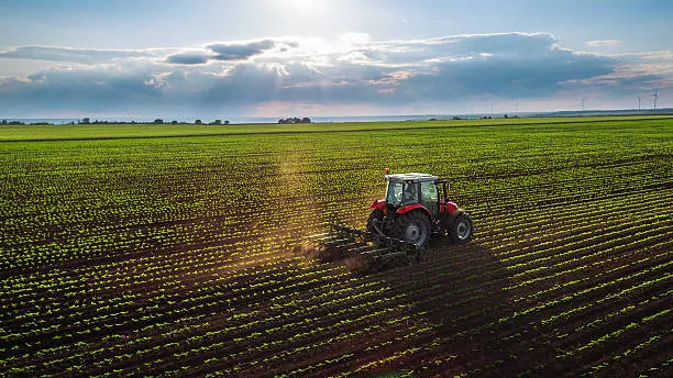 В Україні вже продали 10 тисяч гектарів сільгоспземель з початку роботи ринку