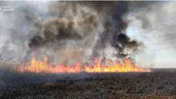 Вогняні стовпи в заплаві Прип'яті: на Волині майже півтори доби гасили масштабну пожежу (фото)