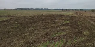 На Волині любителі дрифту нищать засіяні поля: фермери звернулися до поліції (фото)
