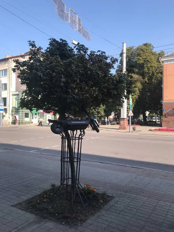 Повісили на дереві: на проспекті Волі в незвичному місці припаркували електросамокат (фото)