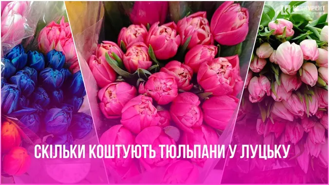 Квітковий бум: скільки коштують тюльпани в Луцьку