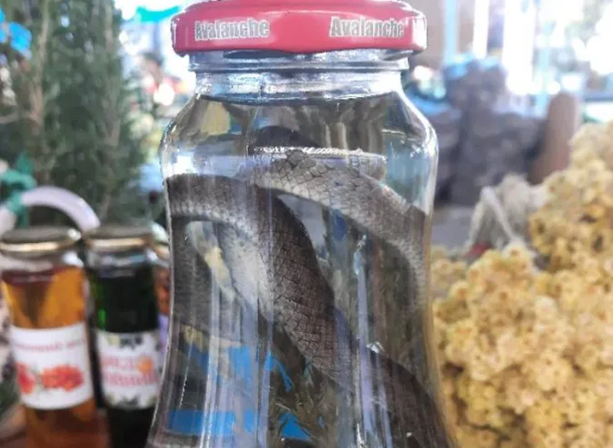 На луцькому ринку продають ліки, настояні на отруйних зміях (фото)