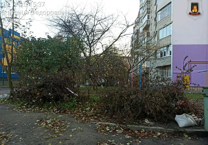 Муніципали змусили «Луцьктеркомсервіс» повивозити гілля з міста (фото)