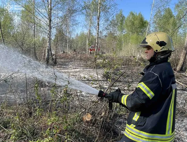 Горіло у трьох районах: на Волині рятувальники ліквідували масштабні пожежі (фото)
