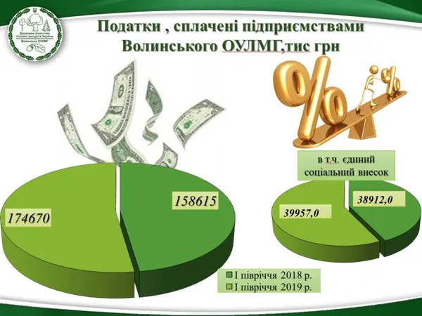 Волинські лісгоспи сплатили майже 175 млн грн податків за пів року