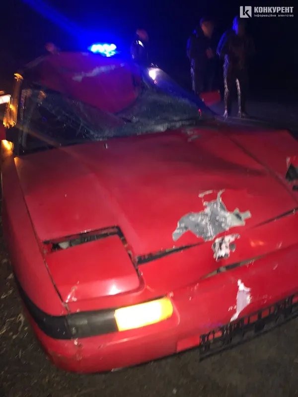 У Луцькому районі автомобіліст «врізався» у лося (фото)