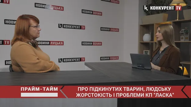Кількість безпритульних тварин у Луцьку зростає (відео)