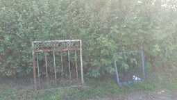 У Луцьку молодики хотіли нажитись на металі з цвинтаря
