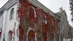 На Волині колишній ЦНАП продали за понад 4 мільйони (фото)
