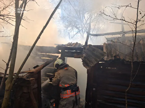Понад 5 гектарів у вогні: на Волині ліквідували серію пожеж (фото)
