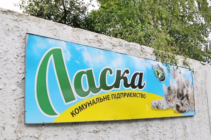 Депутатам Луцькради не сподобався звіт КП «Ласка»