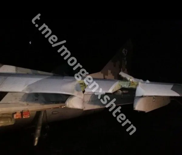 У Запорізькій області винищувач з Луцька здійснив аварійну посадку (фото)