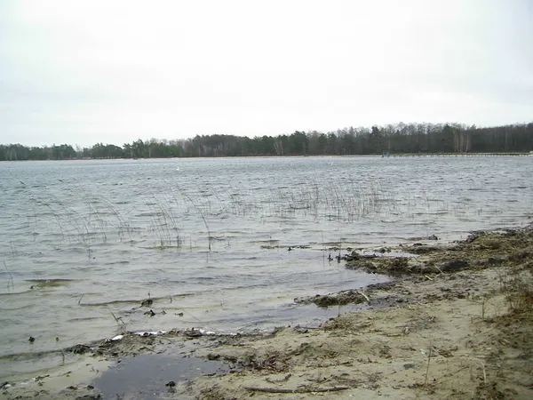 На Волині перевіряють якість води у 9 озерах