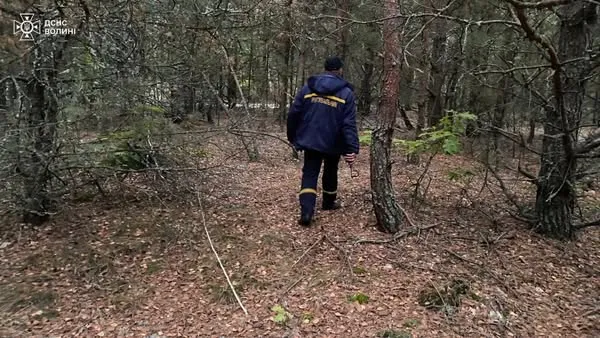 Зник у лісі: на Волині другу добу шукають 76-річного грибника (фото)