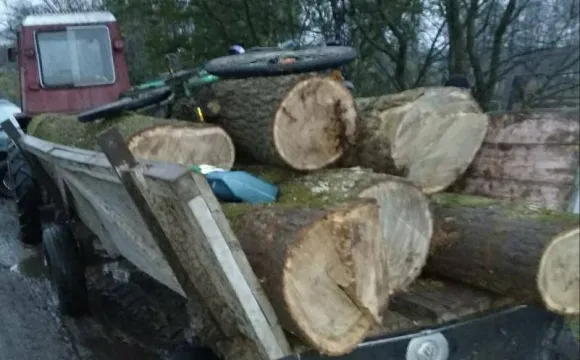 На Волині у лісоруба-порушника забрали трактор