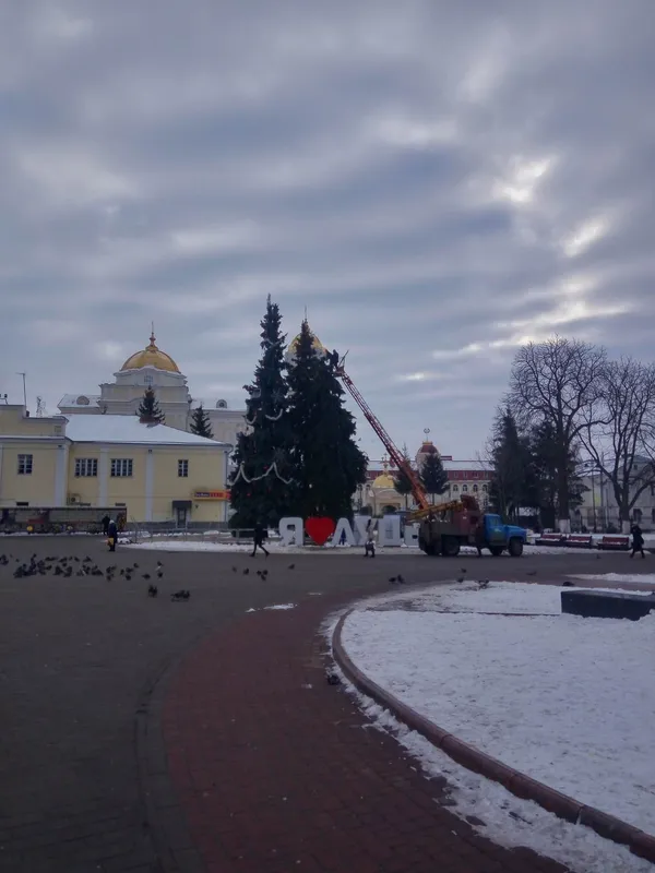 У Луцьку розбирають головні ялинки (фото)