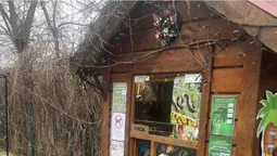 До луцького зоопарку прийшов незвичний відвідувач (фото)