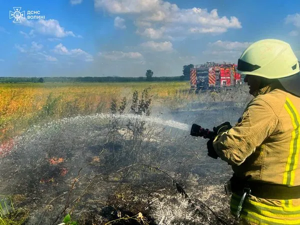 Через необережність волинян за добу сталося чотири пожежі сухої трави (фото)