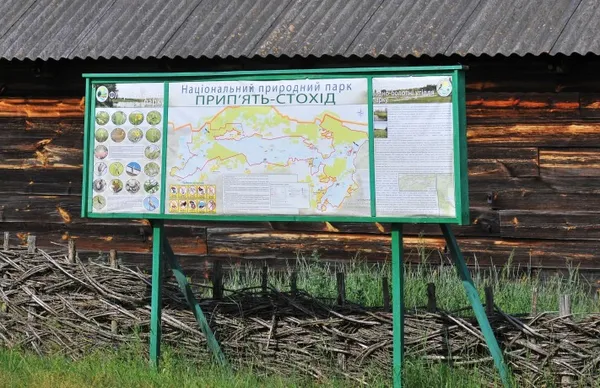 Байдарками по Волині: як підкорити мальовничий «Прип'ять-Стохід» (фото, відео)