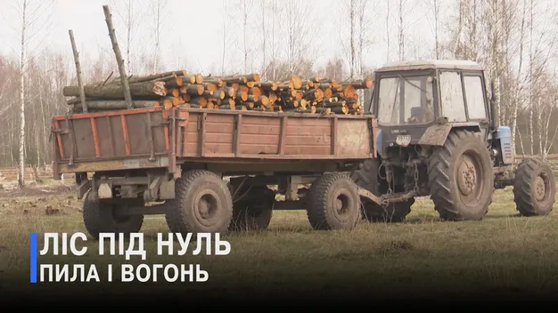 Вирубують і палять: у Ківерцівській громаді незаконно «зачистили» ділянки землі (відео)