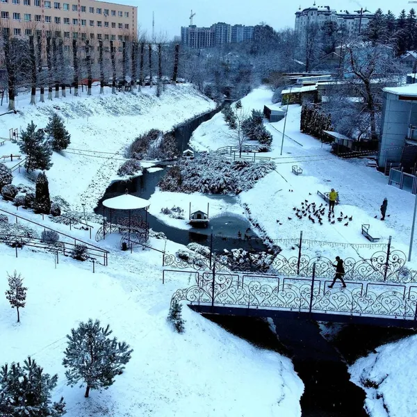 Круті фото засніженого «CITY PARK» з висоти пташиного польоту (фото)