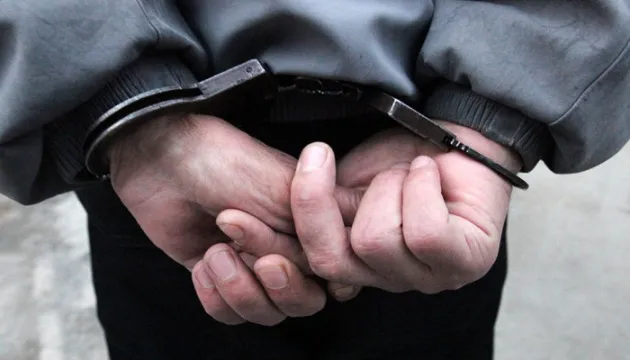 Волинянина, який знущався з матері і вдарив поліцейського, взяли під варту