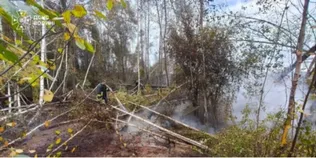 🔥 Майже 6 годин боротьби з вогнем: на Ковельщині горів торф (фото)