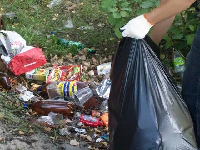 «Туди зносять пакети, а собаки розтягують»: у Луцькраді нарікають на стихійні сміттєзвалища