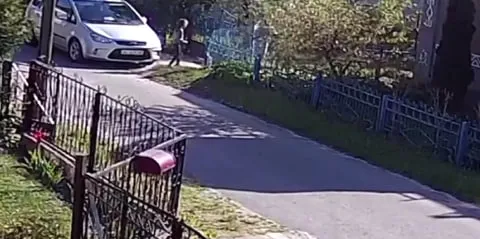 В Іваничах бійцівський собака напав на 7-річну дівчинку (відео 18+)