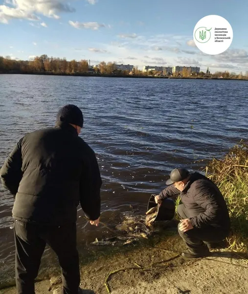 У Ковельське водосховище запустили пів тонни коропів та білих амурів (фото)