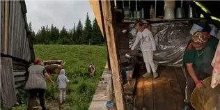 На полонині серед Карпат знайшли жінку, яка мешкає там сама з маленькою донькою (відео)