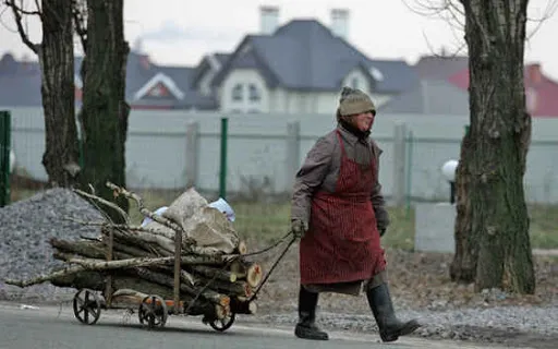 Чи можна збирати дрова в лісі: луцький юрист розповів про штрафи (відео)