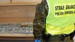 280 000 $ та 80 000 €: польські митники затримали українку з незадекларованою валютою (фото)
