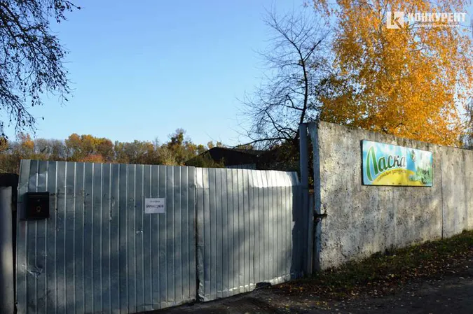 У Луцьку виділили понад 100 тисяч гривень на відлов тварин