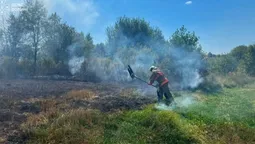 7 пожеж за добу: на Волині вогонь охопив понад 2 гектари сухостою (фото)