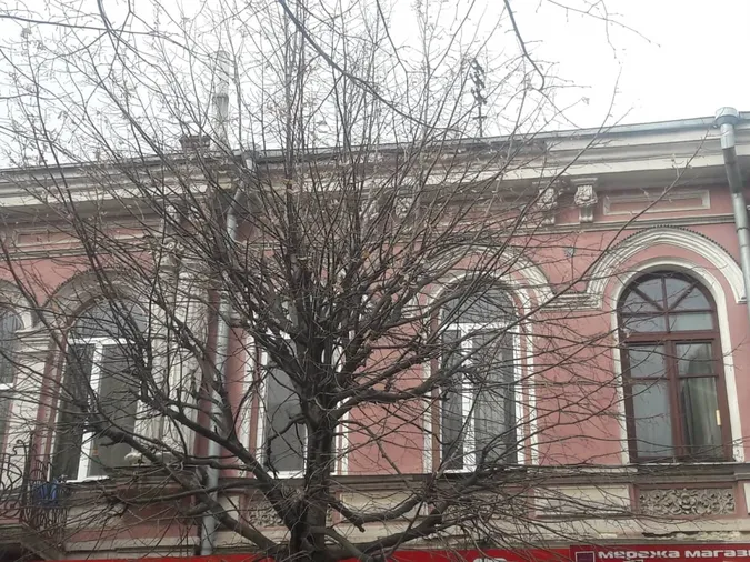 У центрі Луцька через сильний вітер осипається будинок (фото)