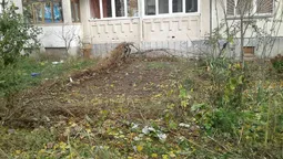 Муніципали зносять паркани у луцьких дворах (фото)