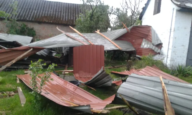 Власникам закладів на Світязі, де вирував буревій, порадили знести аварійні дерева (фото)