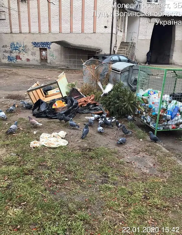 У Луцьку покарали тих, хто забруднює місто (фото)