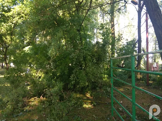 На Волині буревій наробив лиха (фото, відео)
